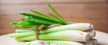 Lemongrass Foaming Sugar Scrub